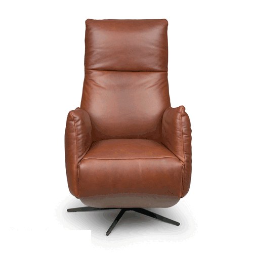 Relaxfauteuil Daan