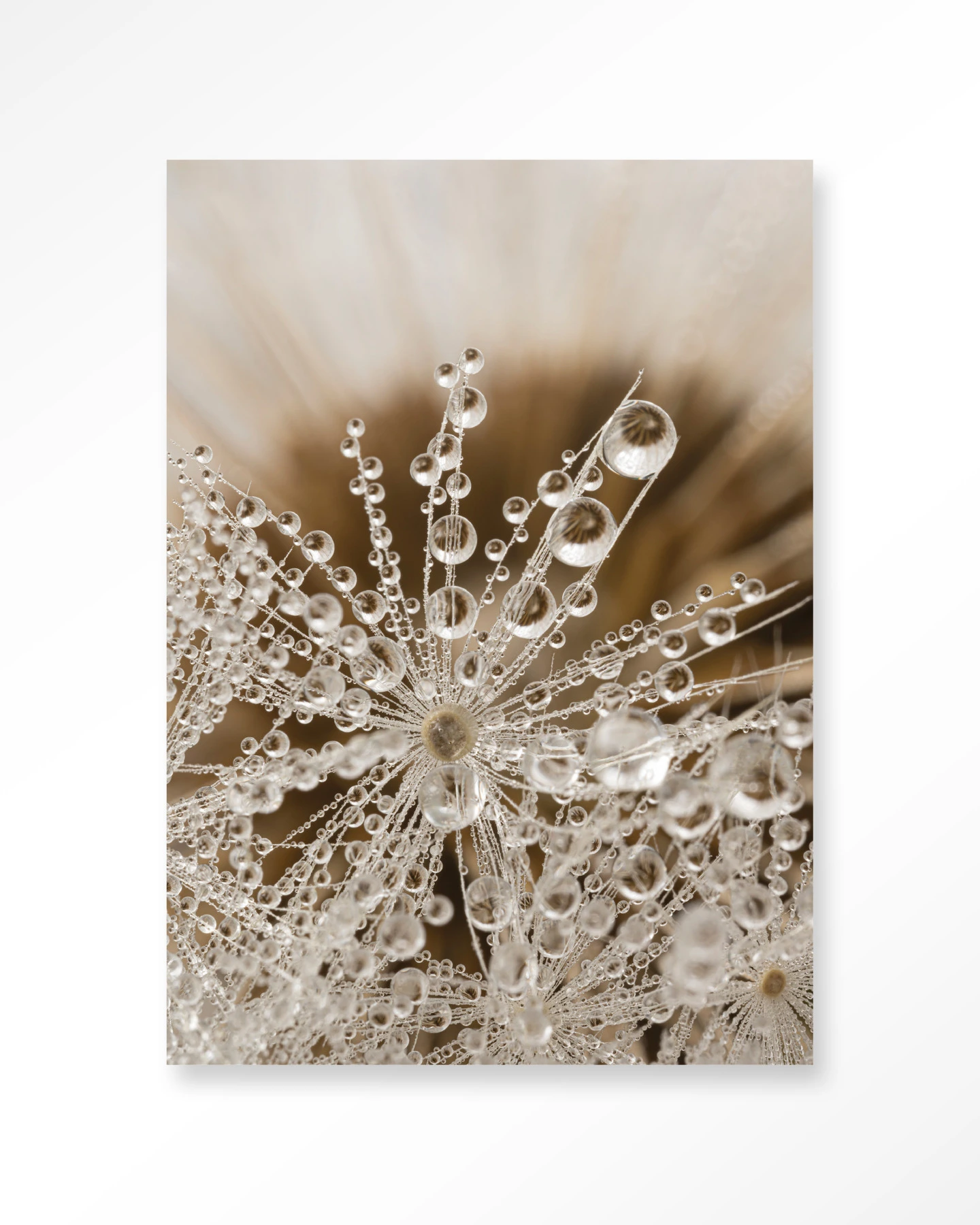 Wandkleed Landelijke Natuur - Urban Cotton
