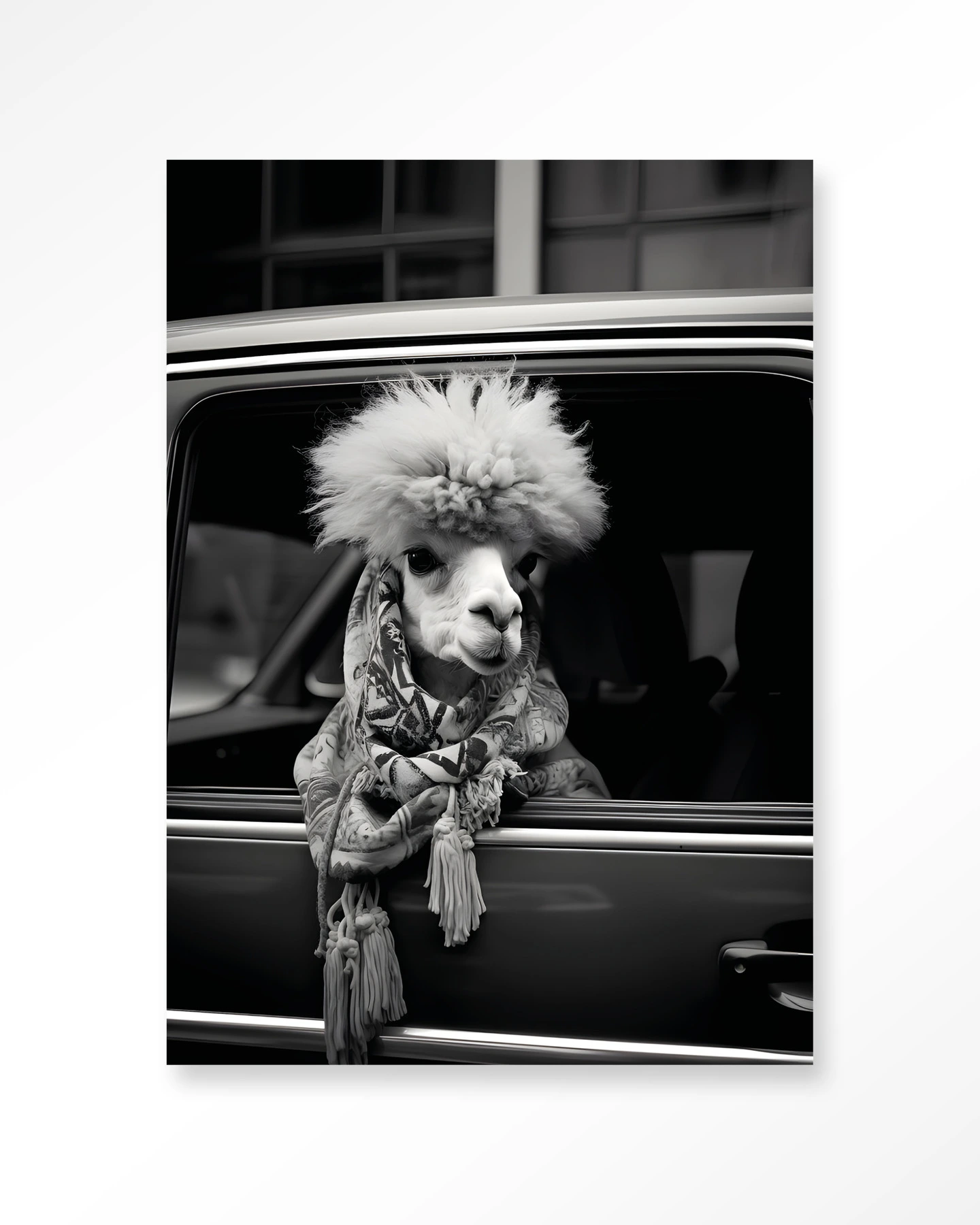 Wandkleed Alpaca In Taxi - Urban Cotton